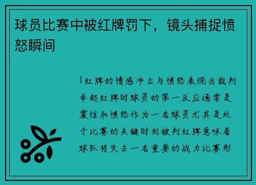 球员比赛中被红牌罚下，镜头捕捉愤怒瞬间