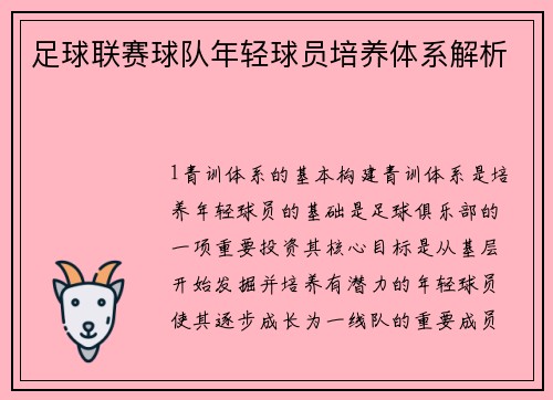 足球联赛球队年轻球员培养体系解析